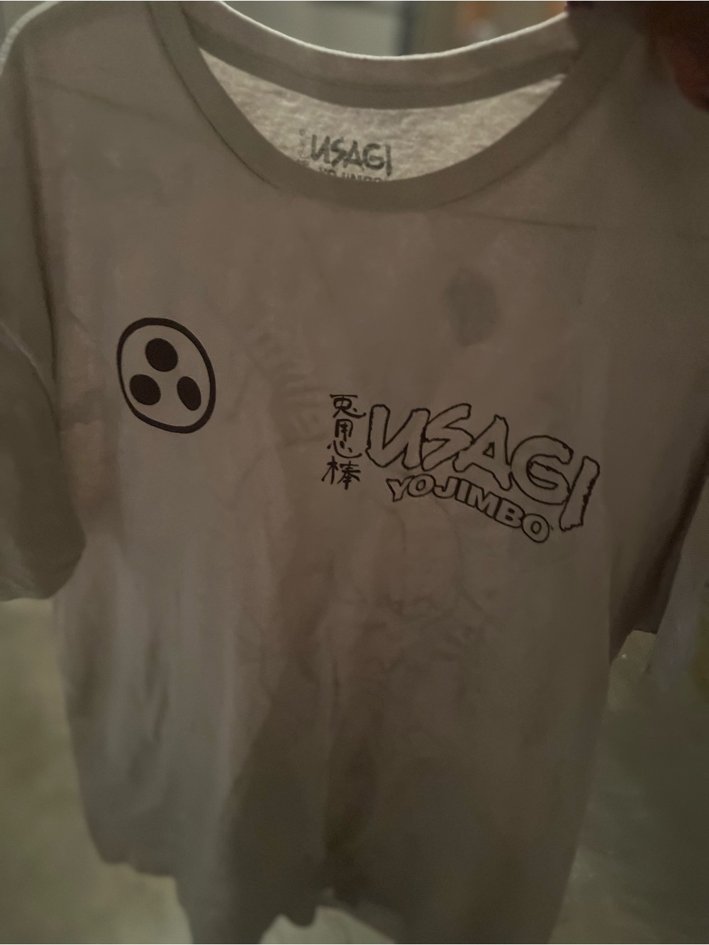 Graphic Tee in Light Gray